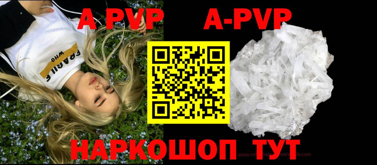 A PVP СК Белгород
