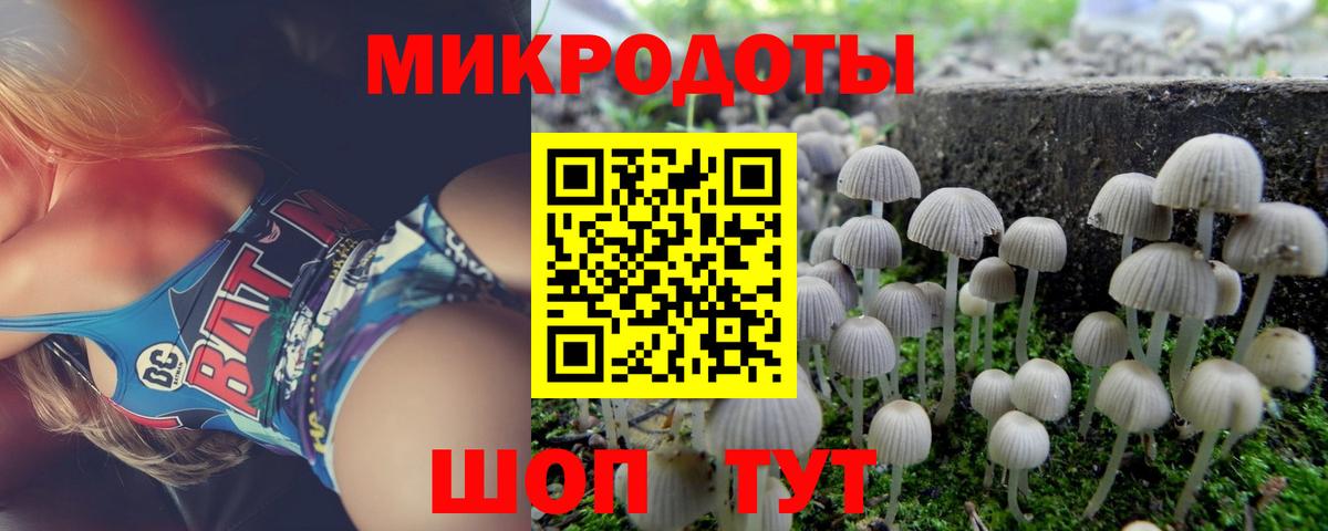 Галлюциногенные грибы мухоморы Белгород