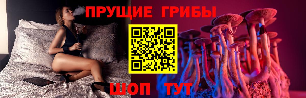 Псилоцибиновые грибы Cubensis  Галлюциногенные грибы мицелий  Белгород  Вход с VPN 